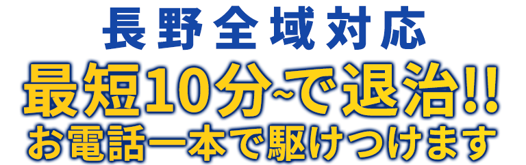東京全域対応 最短10分～で退治!! お電話一本で駆けつけます
