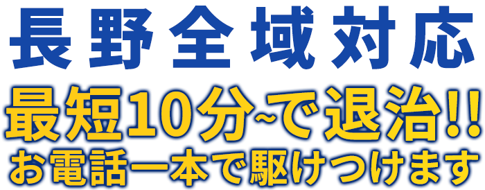 東京全域対応 最短10分～で退治!! お電話一本で駆けつけます