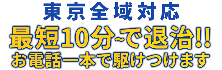 全国対応 最短10分～で退治!! お電話一本で駆けつけます