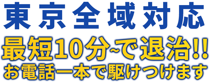 全国対応 最短10分～で退治!! お電話一本で駆けつけます