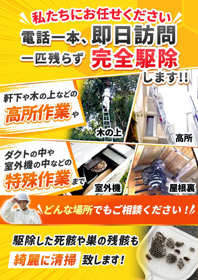 私たちにお任せください 電話一本、即日訪問 一匹残らず完全駆除します！！ どんな場所でもご相談ください！！